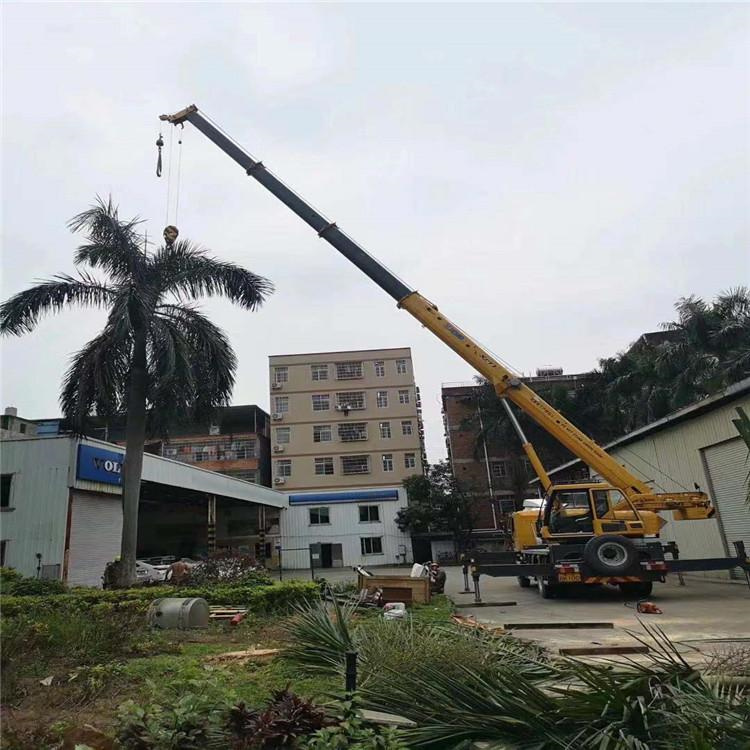 良庆吊车吊大树几种方法